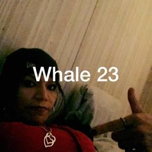 Meet your Posher, Sheila